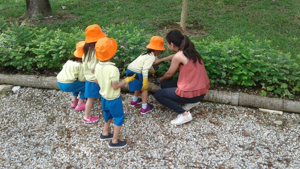 NurtureStars Punggol nurturing Punggol Waterway Park through organic mulching! — photo 5
