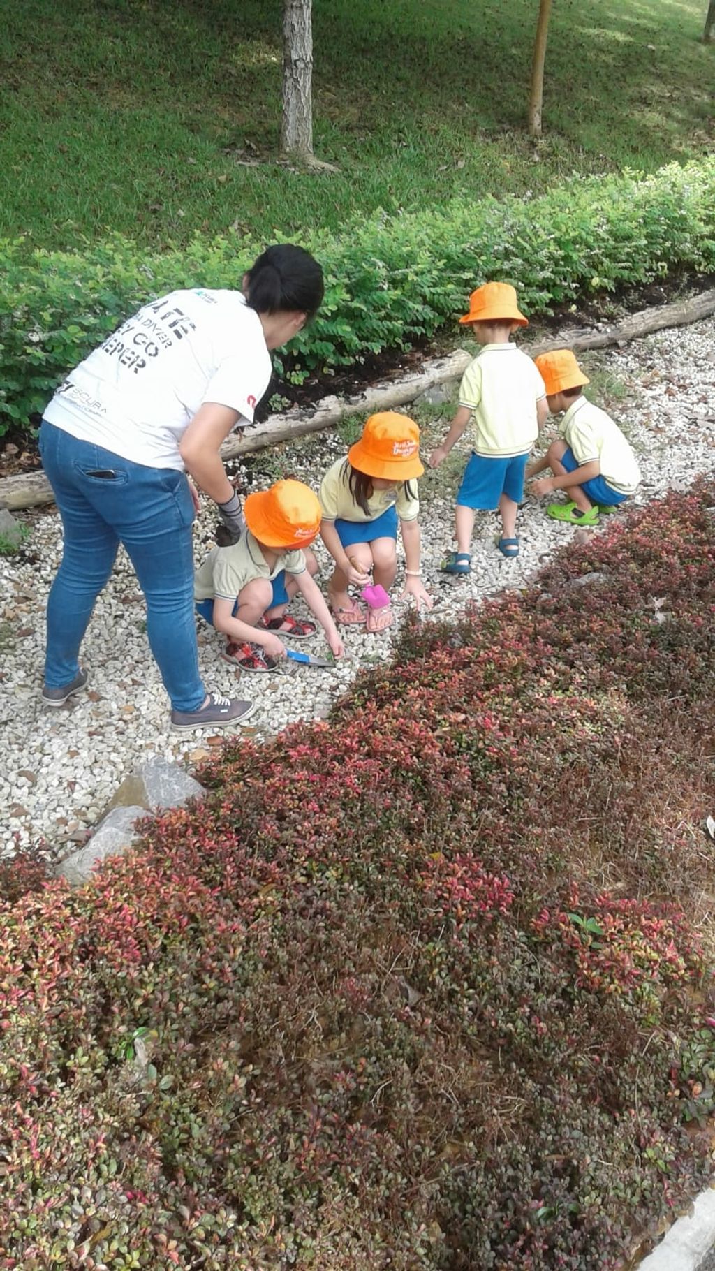 NurtureStars Punggol nurturing Punggol Waterway Park through organic mulching! — photo 7