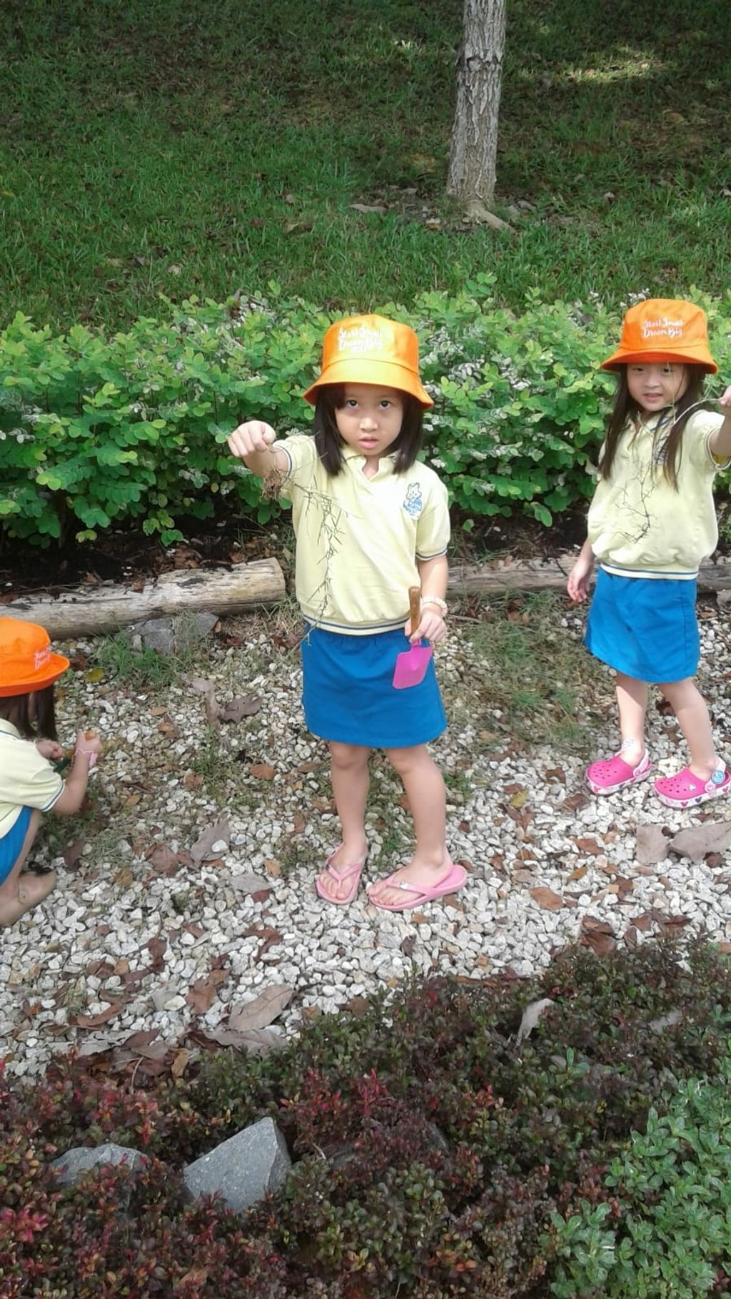 NurtureStars Punggol nurturing Punggol Waterway Park through organic mulching! — photo 1