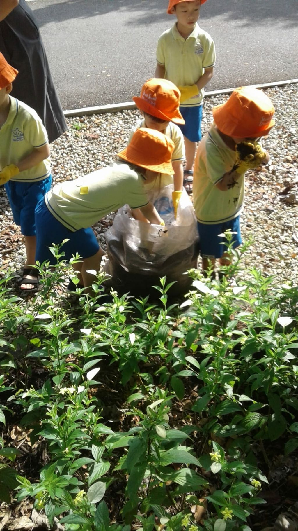NurtureStars Punggol nurturing Punggol Waterway Park through organic mulching! — photo 5