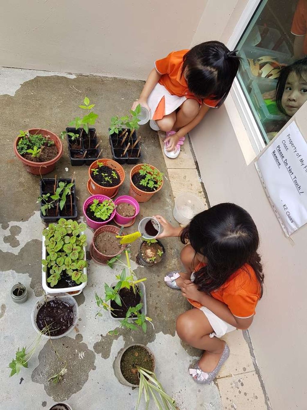 My First Skool - 487 Segar Rd SSDB - Our Own Mini Garden — photo 2