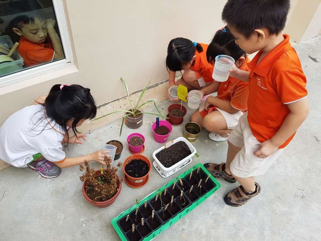 My First Skool - 487 Segar Rd SSDB - Our Own Mini Garden — photo 3