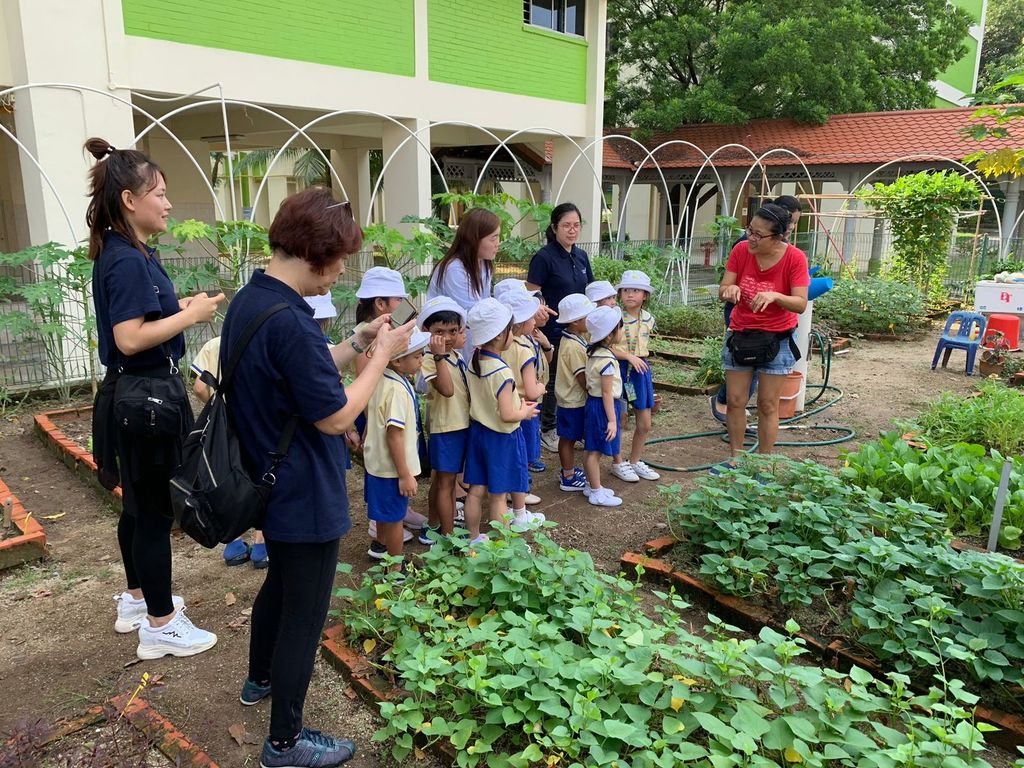Visit our community garden @ block 616 Bedok Reservior — photo 3