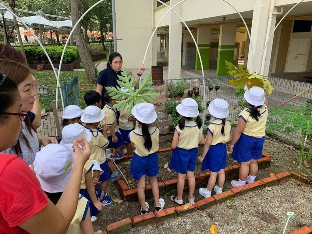 Visit our community garden @ block 616 Bedok Reservior — photo 3