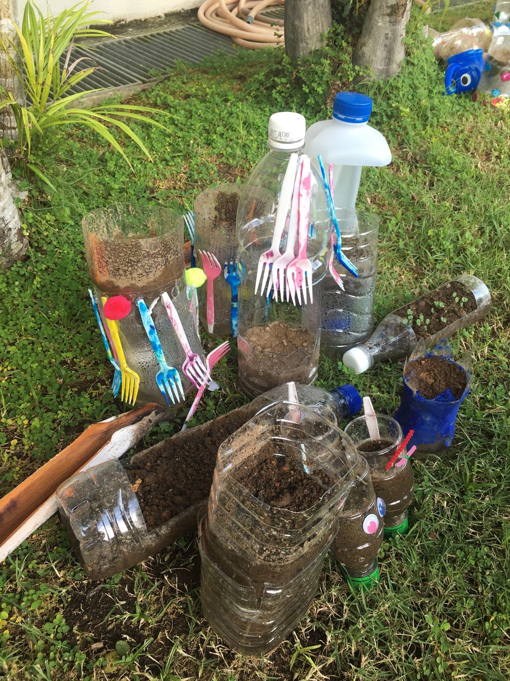 Diverting Trash into Flash ( Potted Plants using Plastic bottles) — photo 2