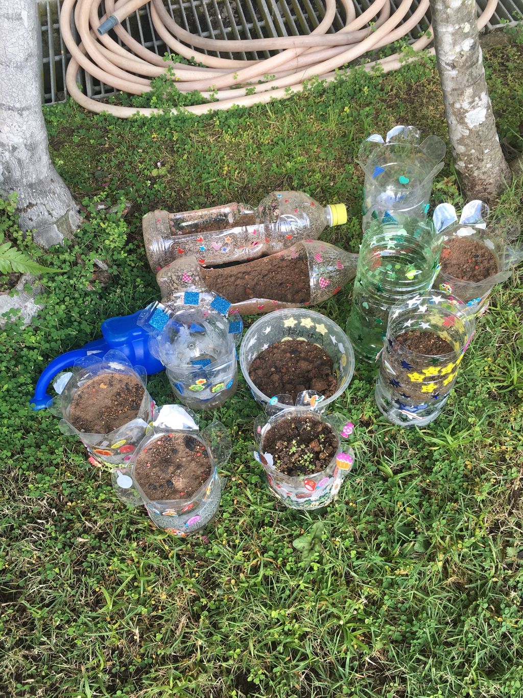 Diverting Trash into Flash ( Potted Plants using Plastic bottles) — photo 4