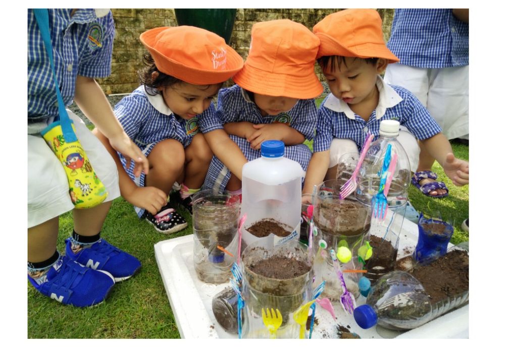 Diverting Trash into Flash ( Potted Plants using Plastic bottles) — photo 6