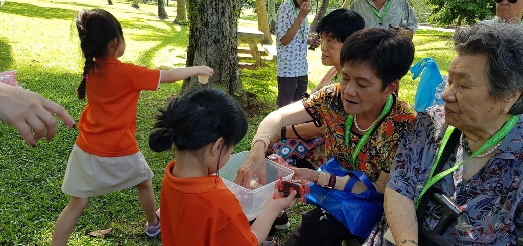 SSDB launch party @ My First Skool Cassia Crescent (Caring for our community-Picnic with the elders at THK Seniors Activity centre) — photo 2