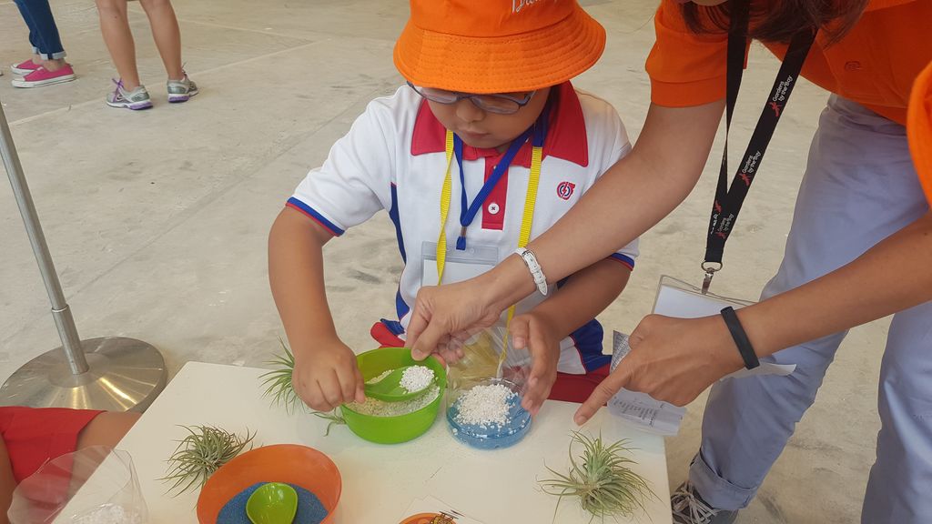 Trip to Eco Kampung Carnival — photo 1