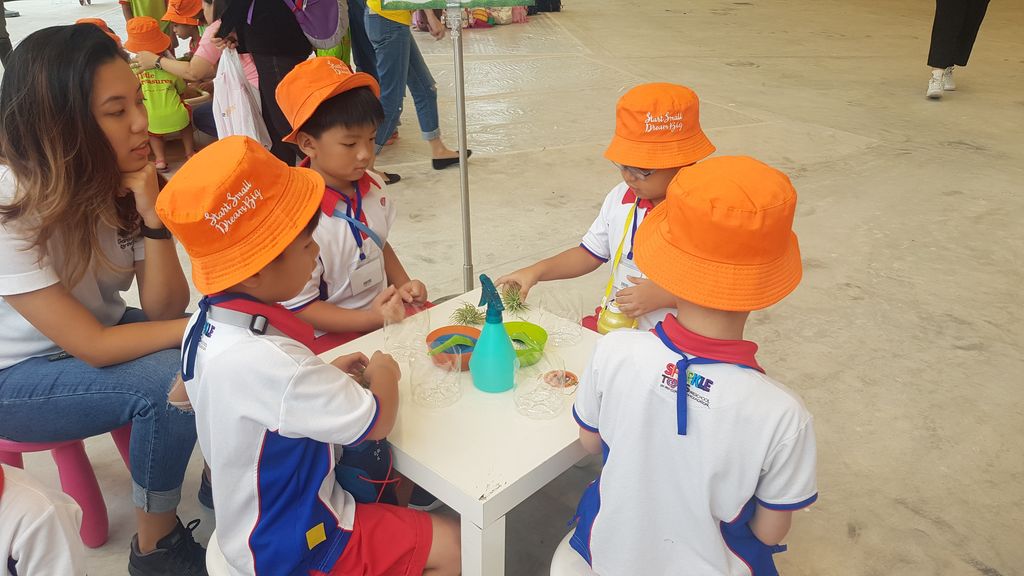 Trip to Eco Kampung Carnival — photo 4