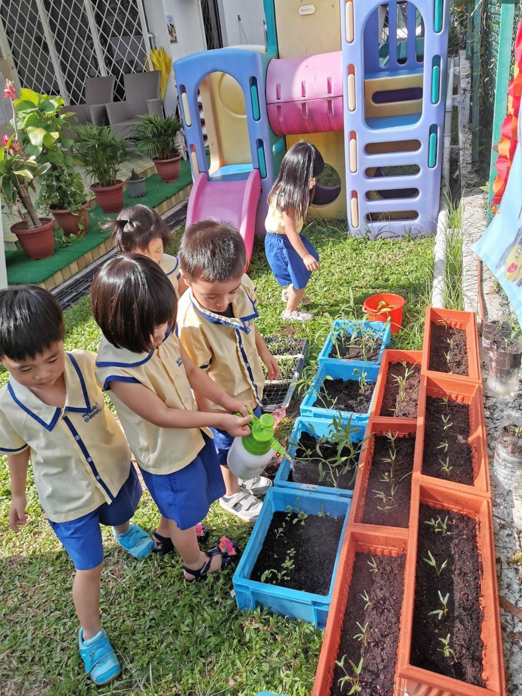 SSDB Launch: Love for gardening begin with our families — photo 1