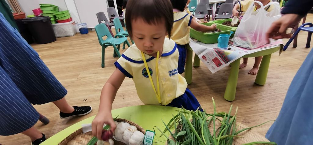 MKK Farmers learn to grow spices with NParks 🌱 — photo 4