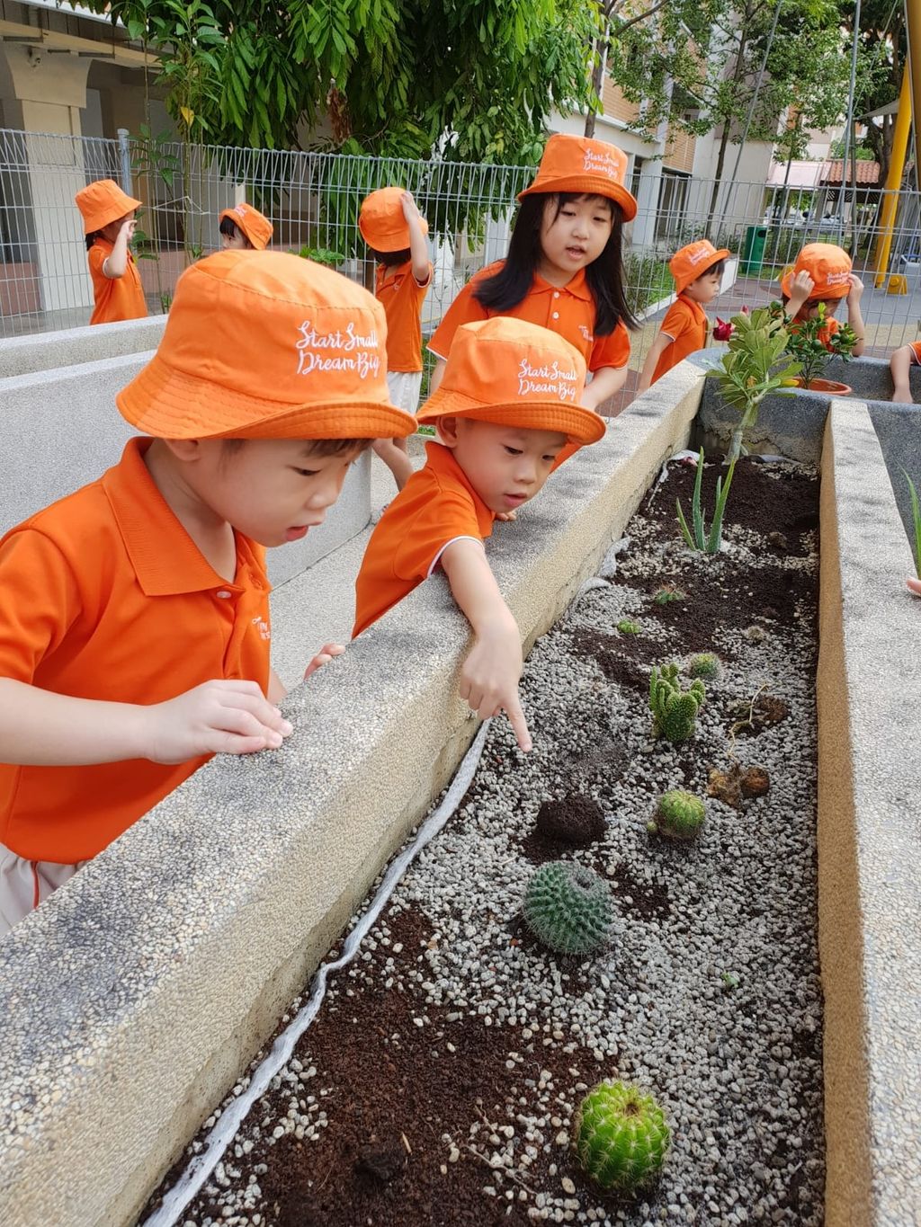 SSDB 2019 Virtual Launch - "Garden of creativity"