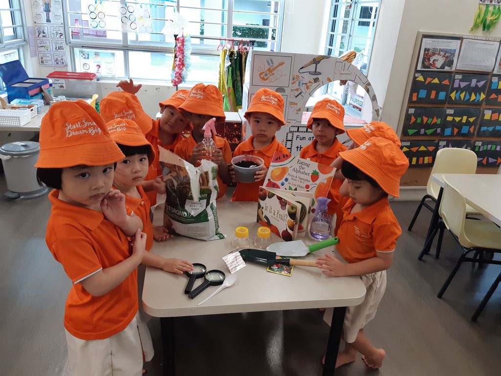 SSDB 2019 JW4 Tomato planting!