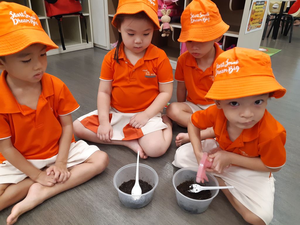 SSDB 2019 JW4 Tomato planting! — photo 2