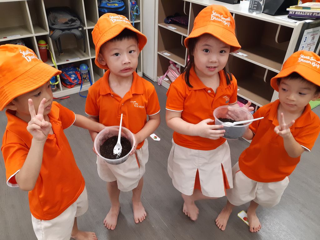 SSDB 2019 JW4 Tomato planting! — photo 3
