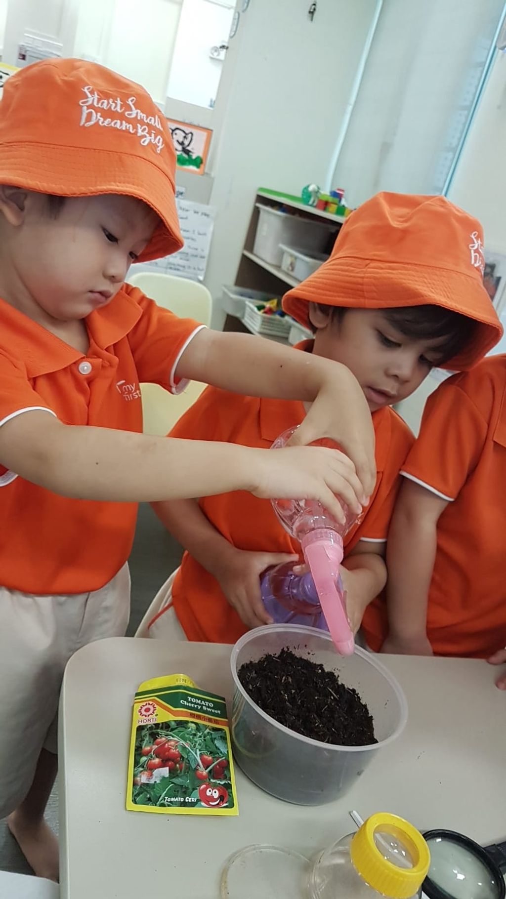 SSDB 2019 JW4 Tomato planting! — photo 4