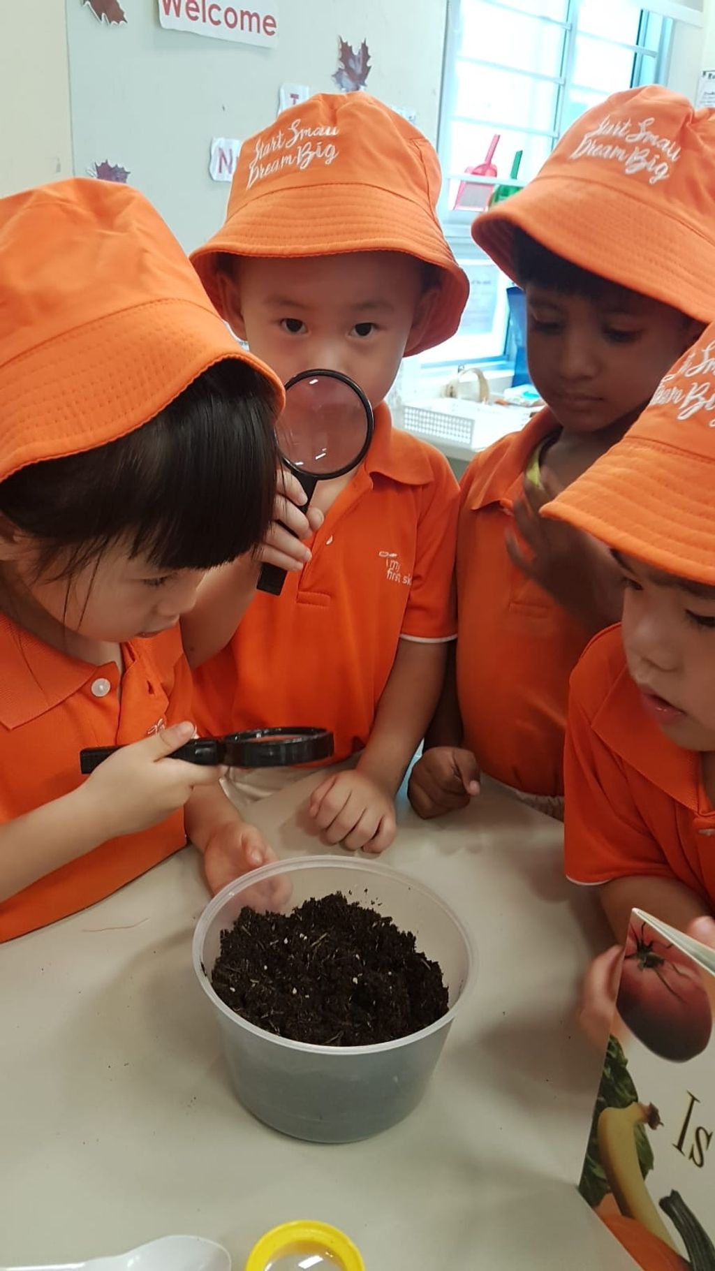 SSDB 2019 JW4 Tomato planting! — photo 5