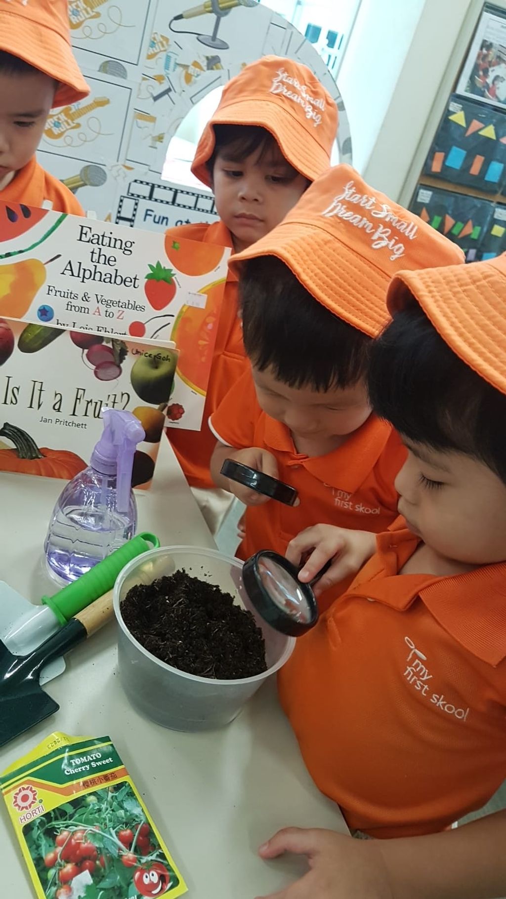 SSDB 2019 JW4 Tomato planting! — photo 6