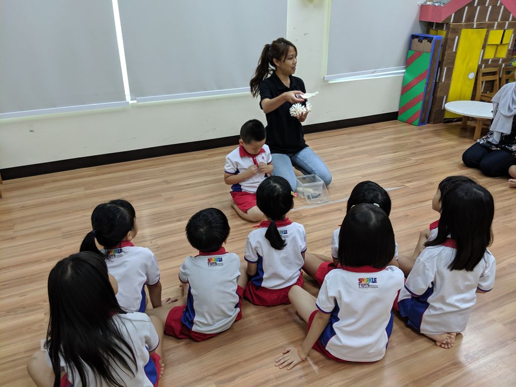 Our Singapore Reefs sharing session at PCF Sparkletots Preschool @ Kampong Chai Chee BLK 424 — photo 1