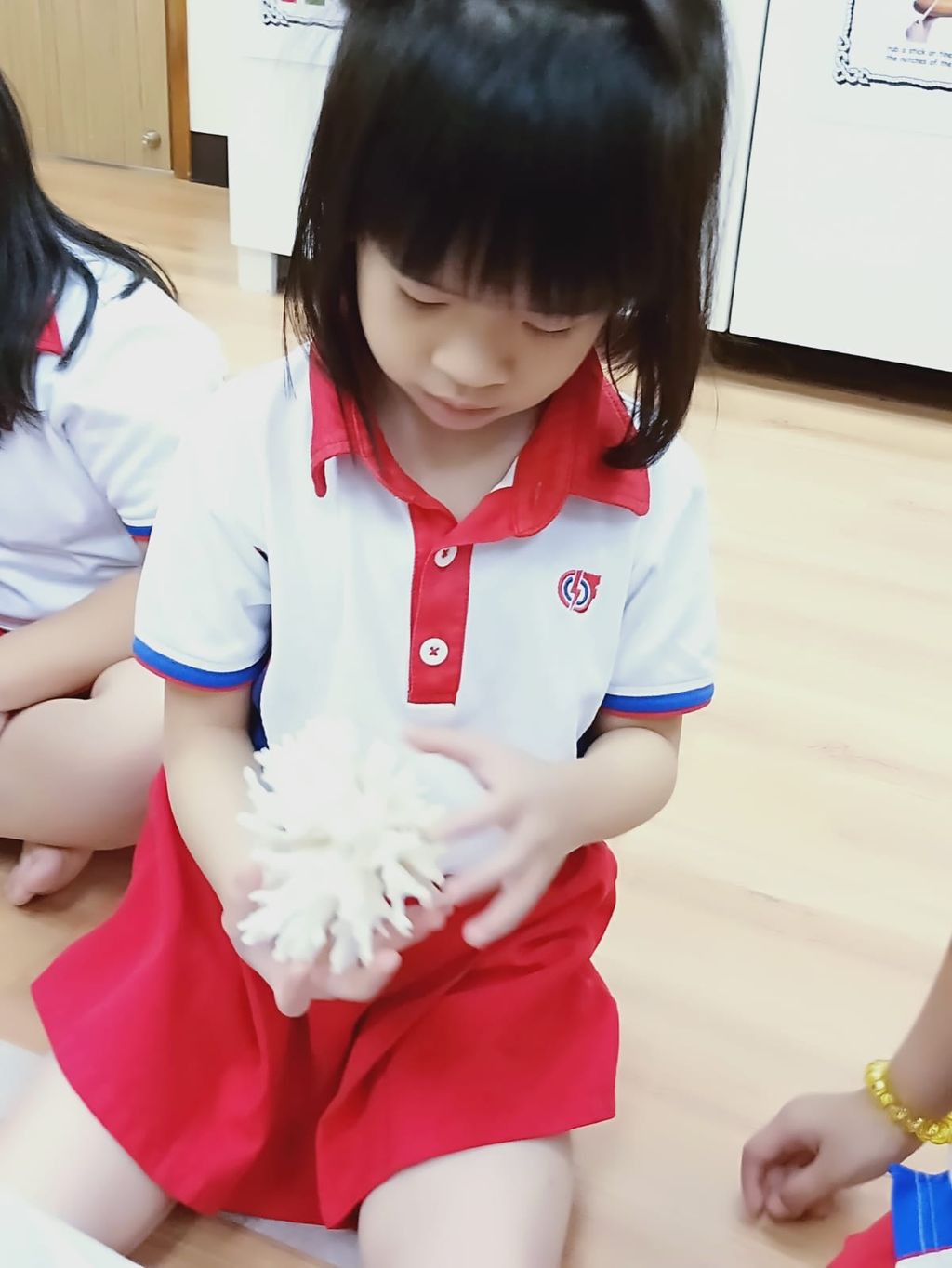 Our Singapore Reefs sharing session at PCF Sparkletots Preschool @ Kampong Chai Chee BLK 424 — photo 2