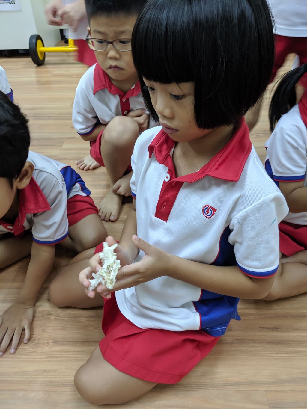 Our Singapore Reefs sharing session at PCF Sparkletots Preschool @ Kampong Chai Chee BLK 424 — photo 7