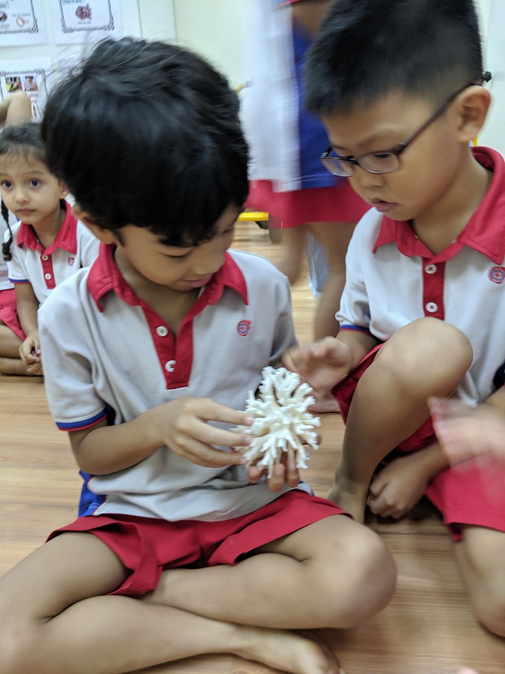 Our Singapore Reefs sharing session at PCF Sparkletots Preschool @ Kampong Chai Chee BLK 424 — photo 8