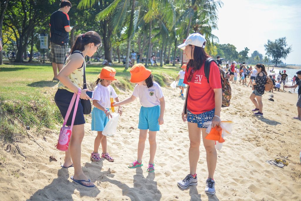 (SSDB) Heroes of Marine Cove 🏖 — photo 2