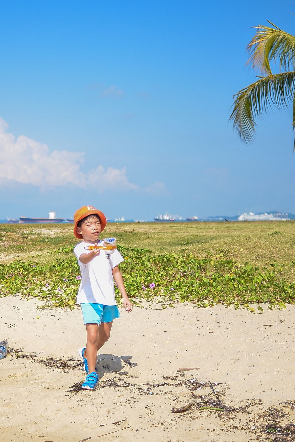 (SSDB) Heroes of Marine Cove 🏖 — photo 4