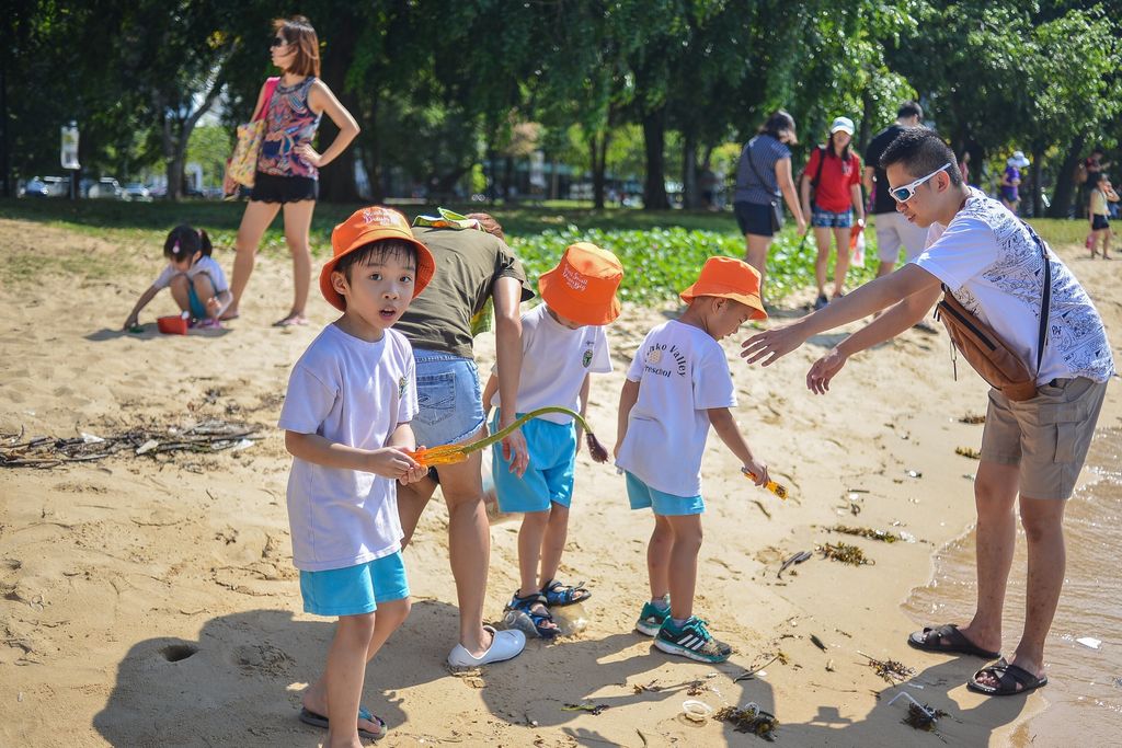 (SSDB) Heroes of Marine Cove 🏖 — photo 5