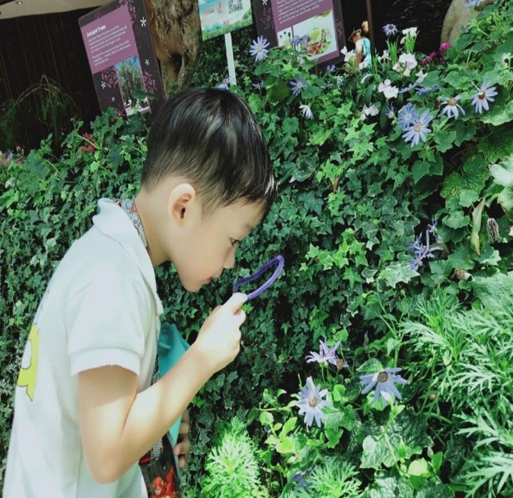 Trees are cool! (SSDB 2019) — photo 2