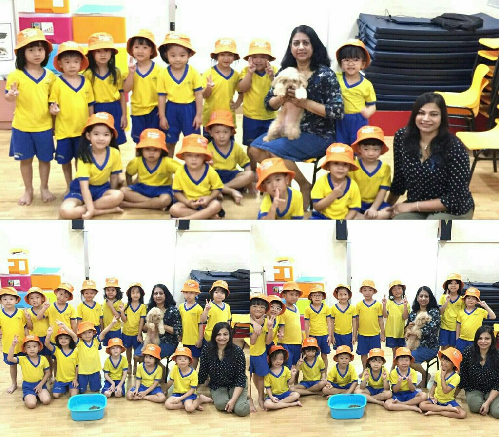 Caring For Pets Project
