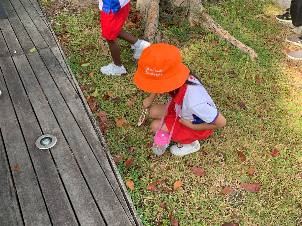 Keep Clean, Singapore 2019! 31 May 2019 — photo 13