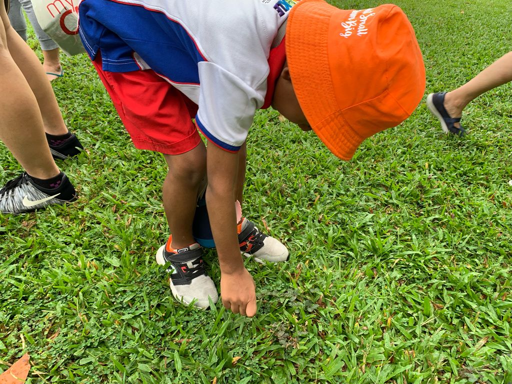 Keep Clean, Singapore 2019! 31 May 2019 — photo 18