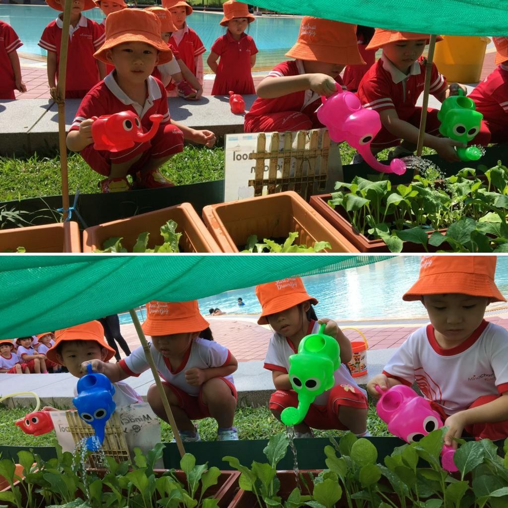 MindChamps PreSchool @ YCK - 'Introduction to Gardening' — photo 1