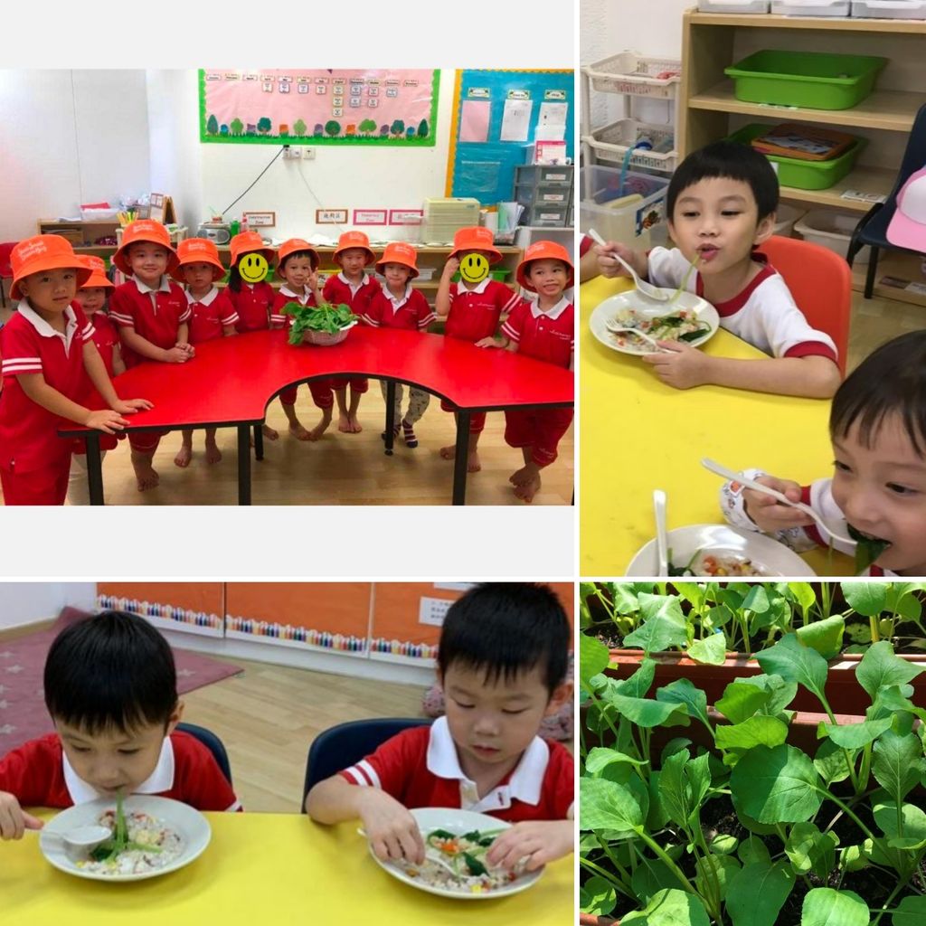 MindChamps PreSchool @ YCK - 'Introduction to Gardening' — photo 1