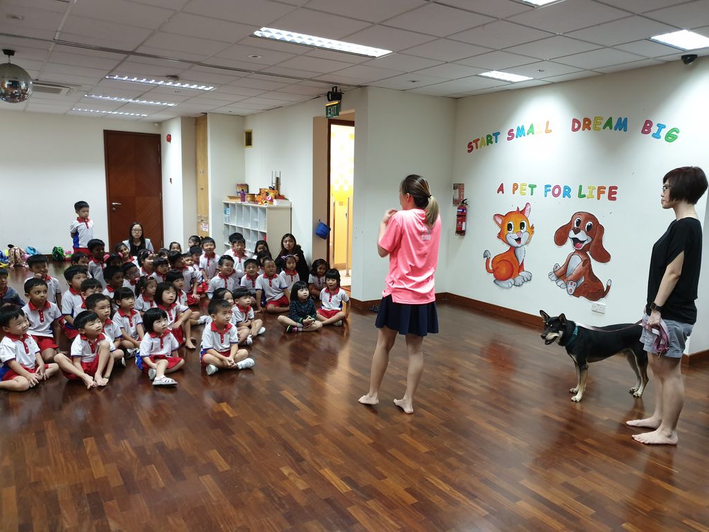 Show and Tell session by SOSD at PCF Sparkletots Preschool @ Pioneer Blk 662B