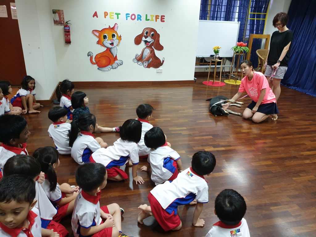 Show and Tell session by SOSD at PCF Sparkletots Preschool @ Pioneer Blk 662B — photo 3