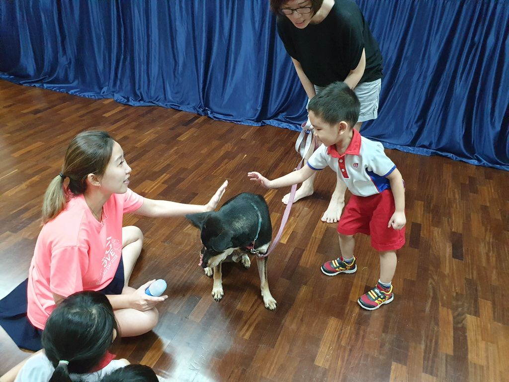 Show and Tell session by SOSD at PCF Sparkletots Preschool @ Pioneer Blk 662B — photo 3