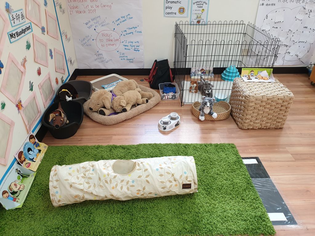 Bringing learning into the classroom – ‘A Pet is for Life’ at PCF Sparkletots Preschool @ Pioneer Blk 662B