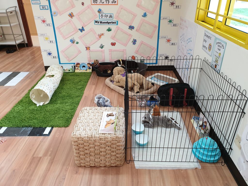 Bringing learning into the classroom – ‘A Pet is for Life’ at PCF Sparkletots Preschool @ Pioneer Blk 662B — photo 2
