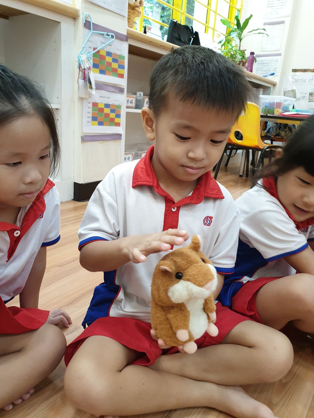 Bringing learning into the classroom – ‘A Pet is for Life’ at PCF Sparkletots Preschool @ Pioneer Blk 662B — photo 3