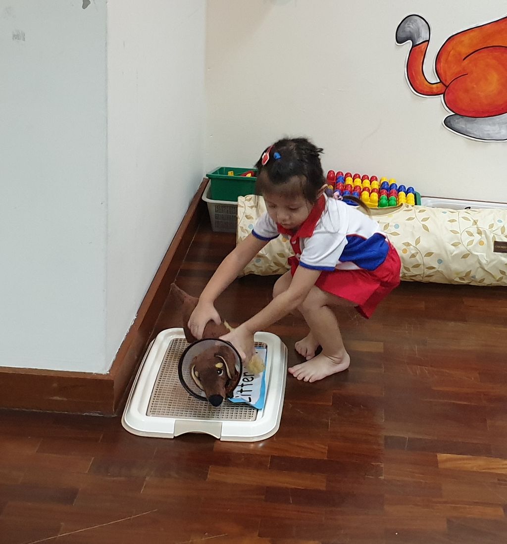 Bringing learning into the classroom – ‘A Pet is for Life’ at PCF Sparkletots Preschool @ Pioneer Blk 662B — photo 5