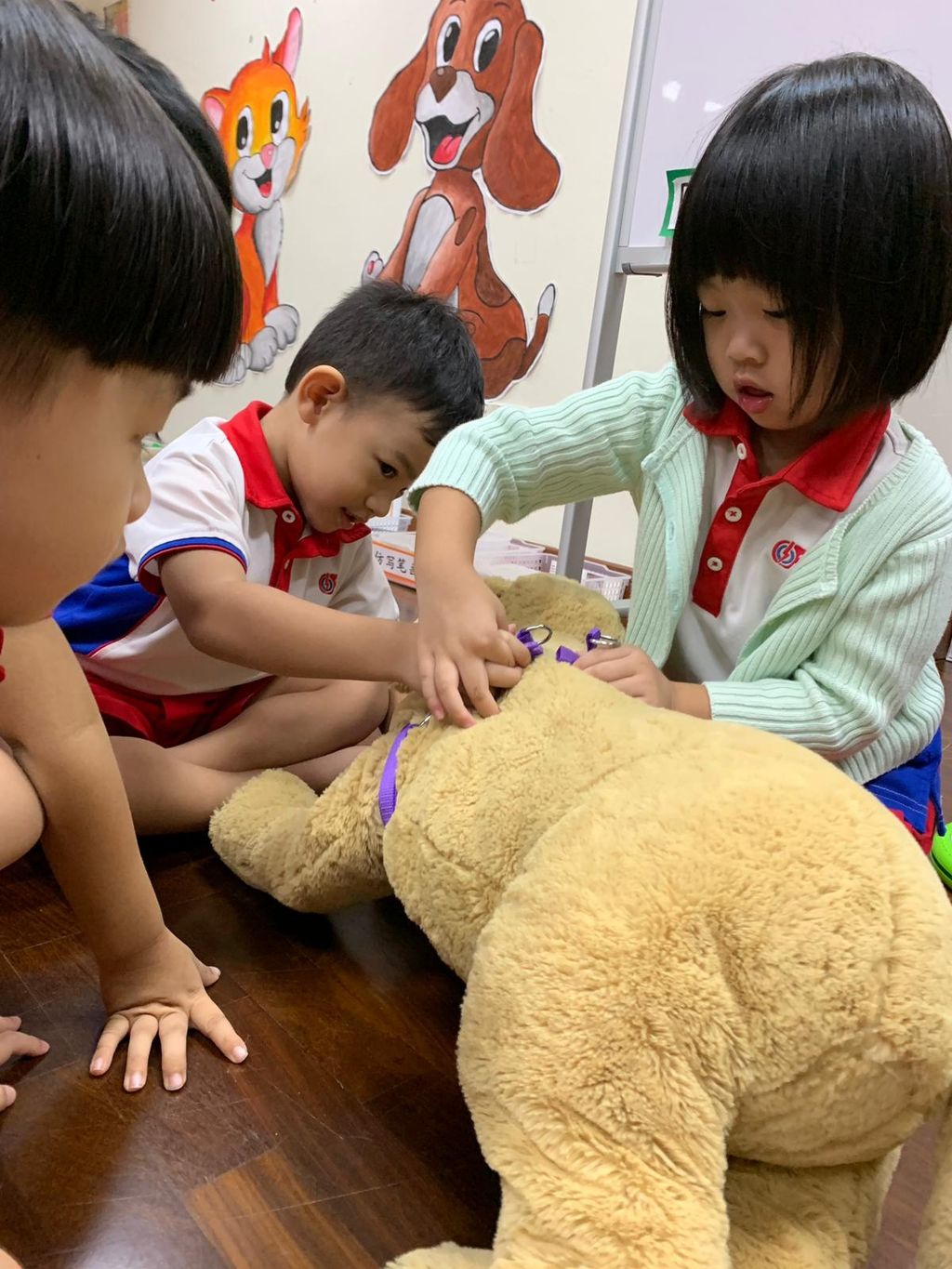 Bringing learning into the classroom – ‘A Pet is for Life’ at PCF Sparkletots Preschool @ Pioneer Blk 662B — photo 6