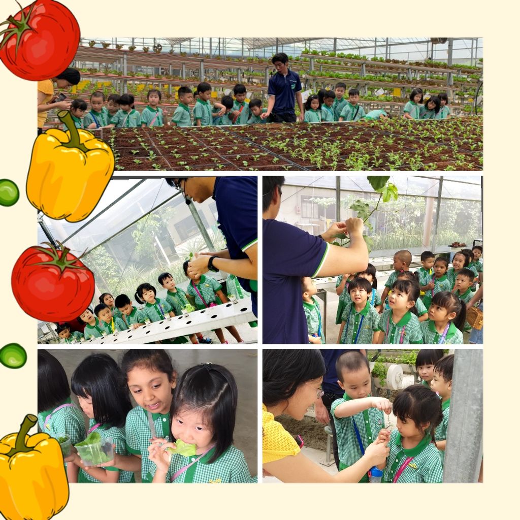 Learning Journey to Kok Fah Technology Farm