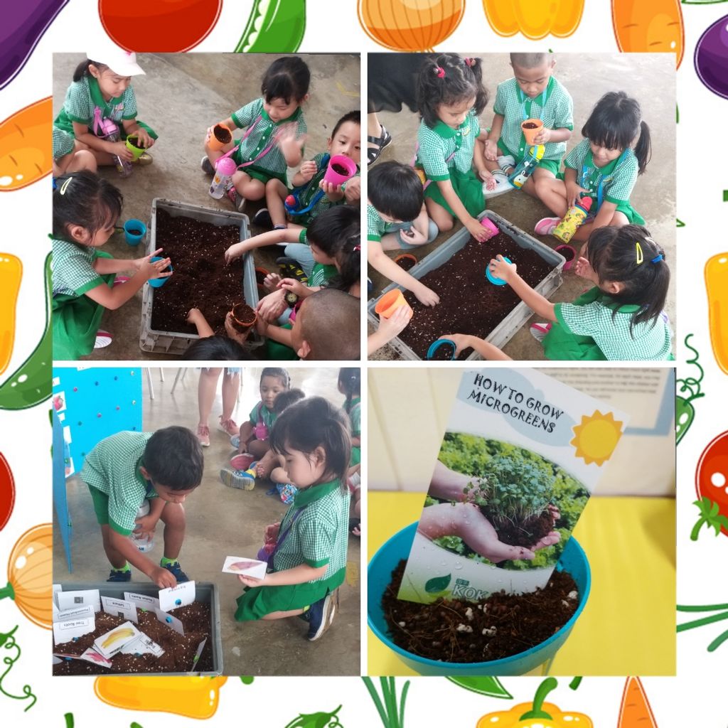 Learning Journey to Kok Fah Technology Farm — photo 2