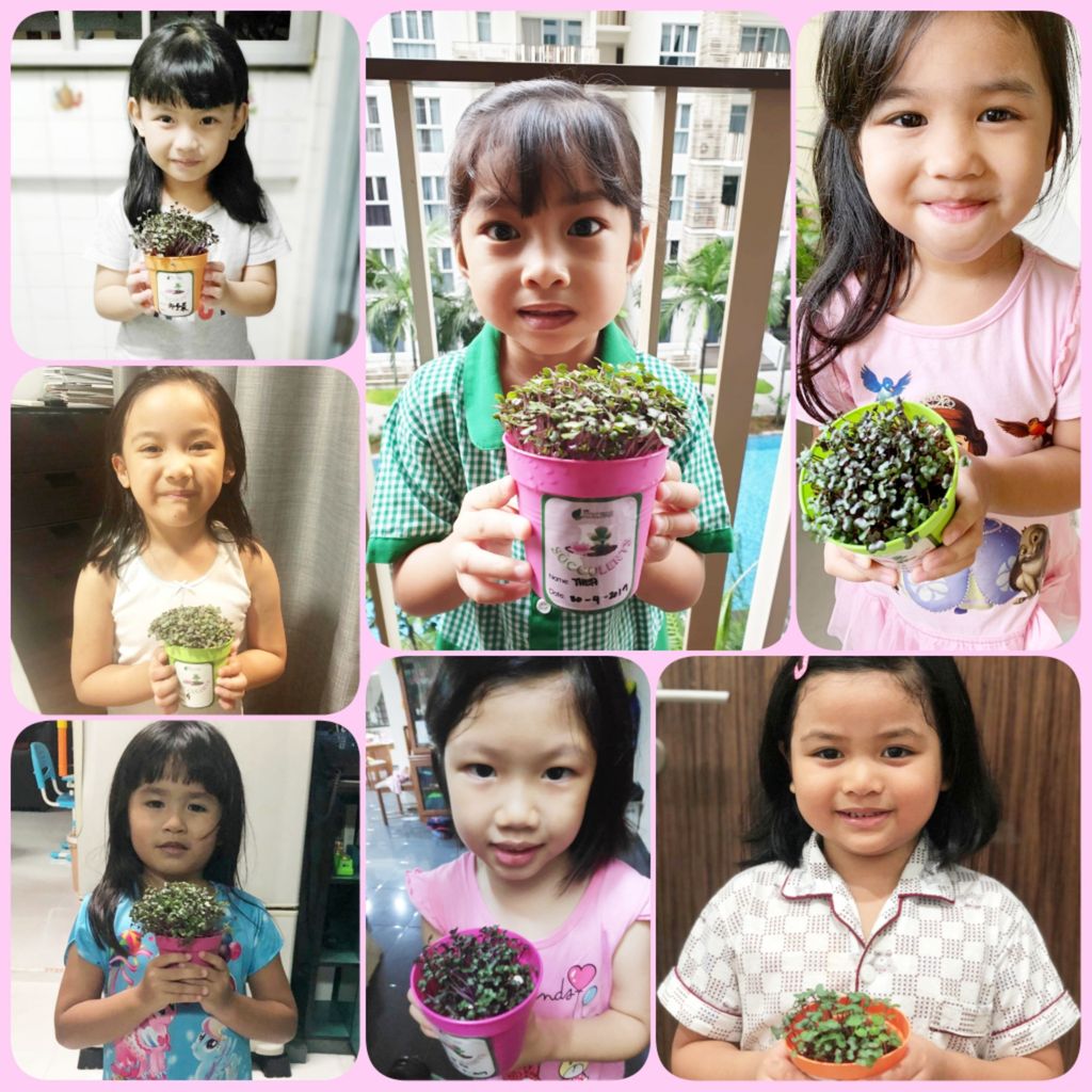 Learning Journey to Kok Fah Technology Farm — photo 3