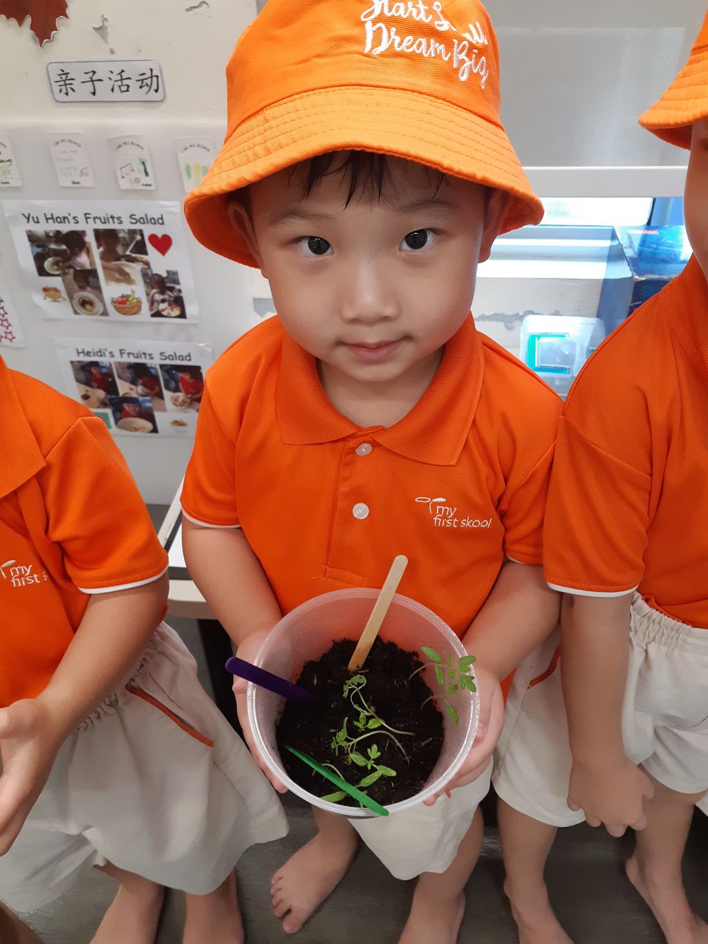 JW4 Tomato planting — photo 2