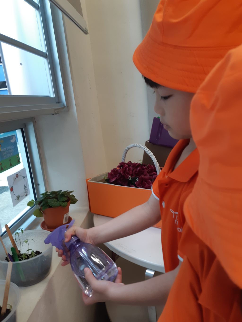 JW4 Tomato planting — photo 5