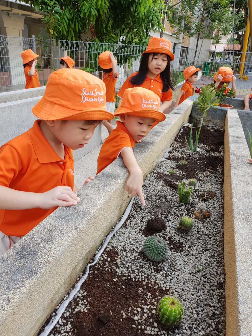Let’s make our garden blooms